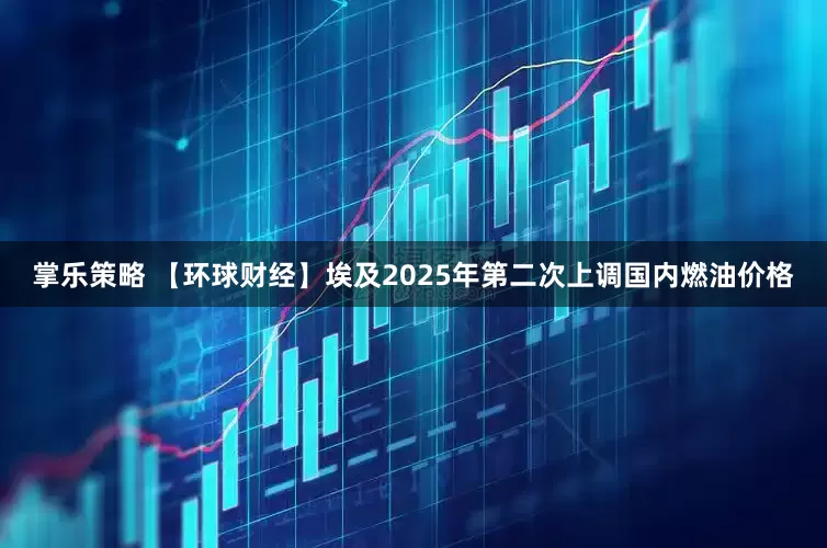 掌乐策略 【环球财经】埃及2025年第二次上调国内燃油价格